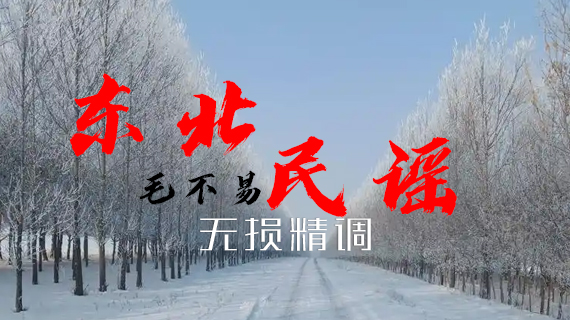 “东北民谣-毛不易